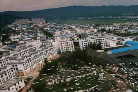 中润茶业怎么样