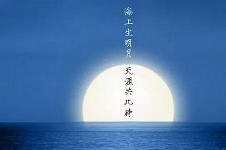 共一轮明月的诗句