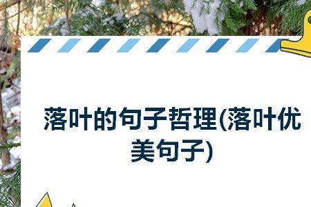 落叶扩写句子50字