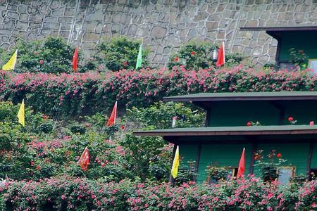 重庆铜锣花谷免票年龄是多少