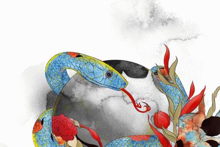 the snake是代词吗