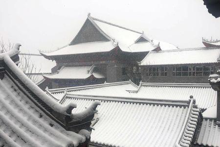雪中洛阳霸气话语