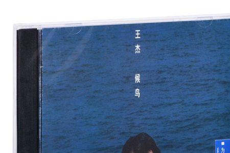 有候鸟的那首歌叫什么