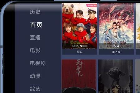 等离子电视有红影