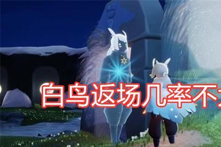 光遇如何遇到一堆白鸟