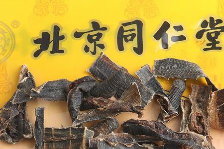 酒地龙是什么