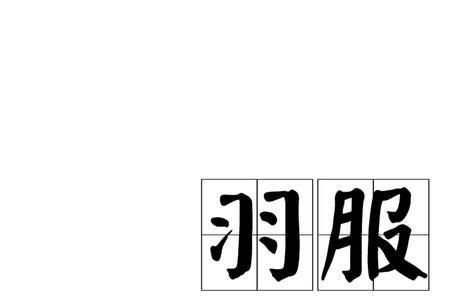 仙人的衣服什么成语