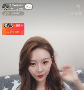 温婉的长相是什么样子