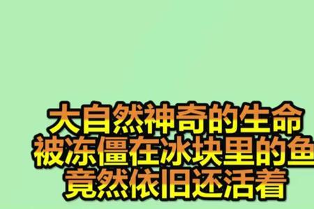 鱼2个月不吃食为什么还活着