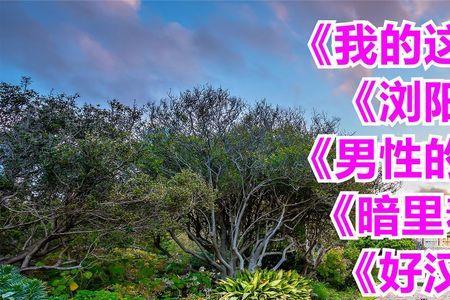 半生这首歌的含义
