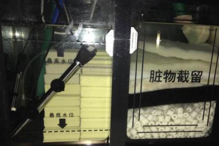 细菌屋便宜和贵的有区别吗
