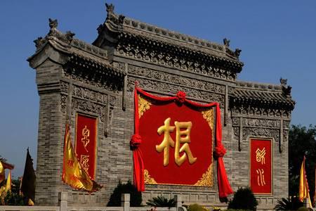大槐树迁出姓氏排名