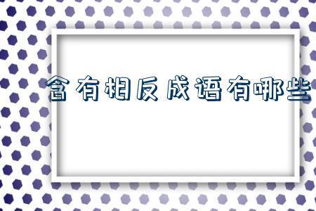 摇摇无己是成语吗