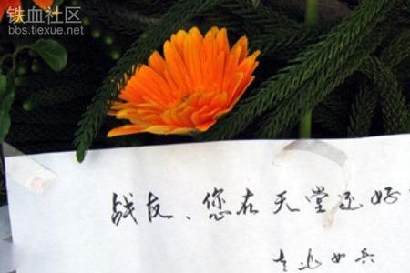 50年前当过兵的人感慨短句