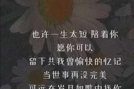 忘记岁月的忧伤歌词