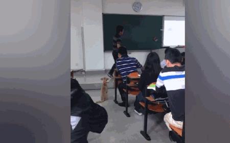 普通人可以去北大蹭课么