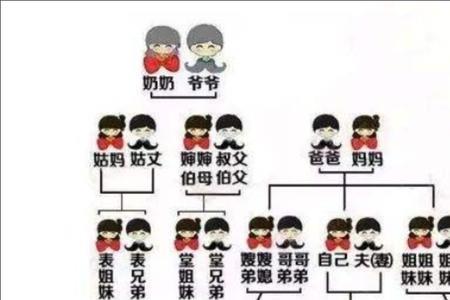 堂伯父是直系亲属还是旁系
