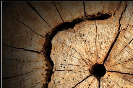 故乡一别几十年意思