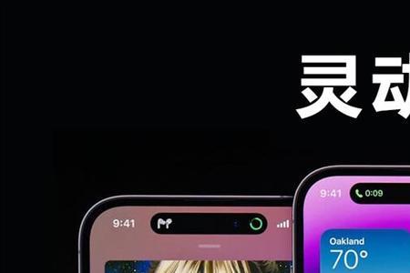 colorfulwidget灵动岛怎么养宠物在桌面
