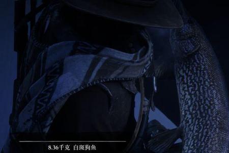 大镖客2钓鱼鱼都在岸边