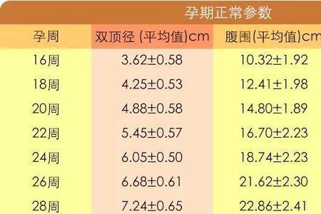 三维bpd什么意思