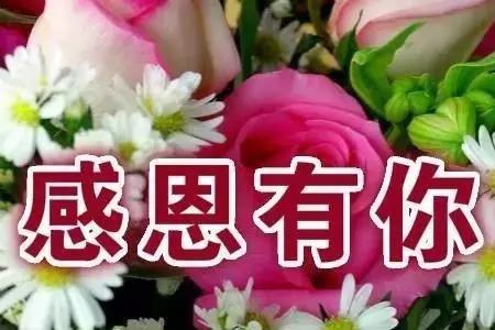 感谢爱我的人给我力量怎回复