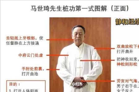 站桩的15点身形要求