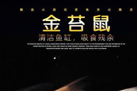 金鱼吃绿藻不用喂食了吧