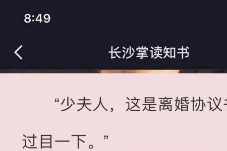 女主角叫沈洛的小说