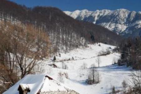 小雪不见雪大雪满天飞是啥意思