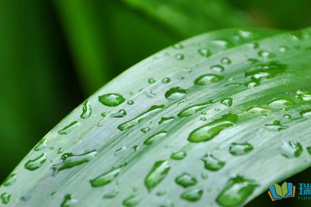 形容雨水在田间流动的声音
