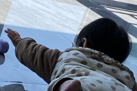 再见了妈妈我要去远航怎么唱