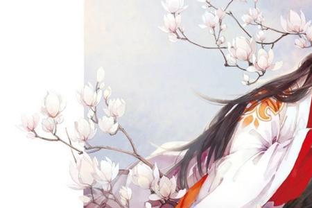 段青狐小说人物名
