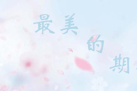 最美的期待同期歌