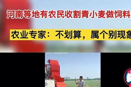 给农民强推青苗是犯法吗