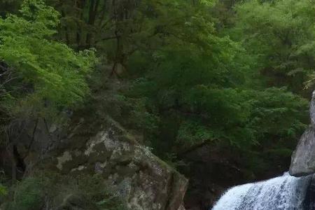 太白擒蛇解释