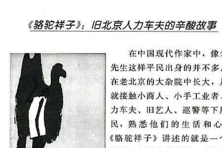 祥子为什么不再拉车