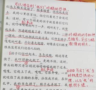 四年级第20课陀螺的批注怎么写