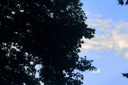 臭嘿粤语什么意思