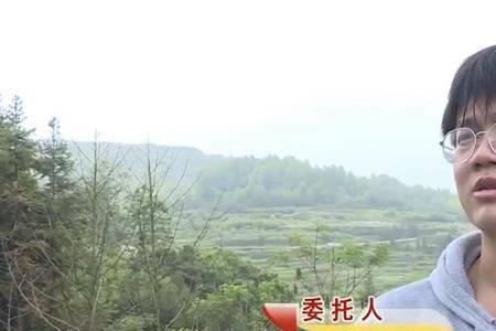 母亲与16岁儿子关系不好怎么办