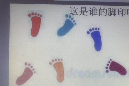 谁的脚印属于认知