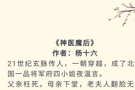 杨十六写的小说有哪些