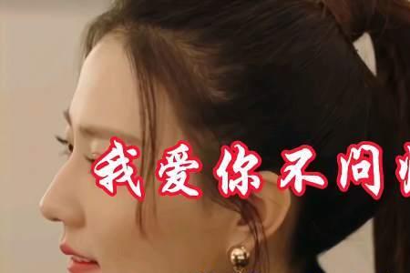 我爱你不问归期歌词含义