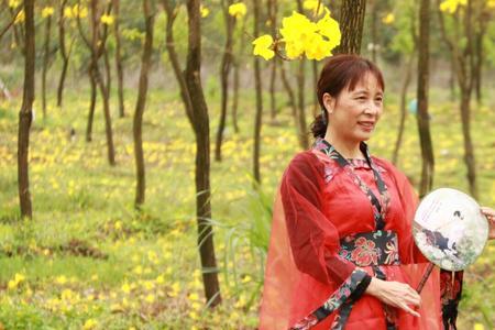 一树黄花醉人眼是什么意思