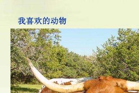 最喜欢的朋友和哪种动物相似