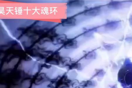 昊天锤十大魂环颜色