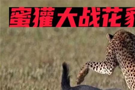 难分胜负的负是什么意思是什么
