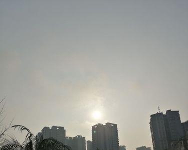 久违的阳光啊回复