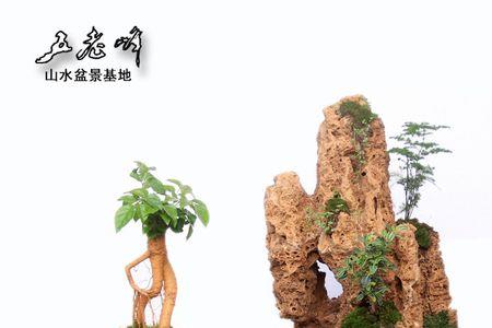 石青难溶于水吗