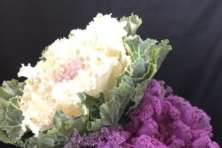 3枝花和2枝花可以扎成一束花